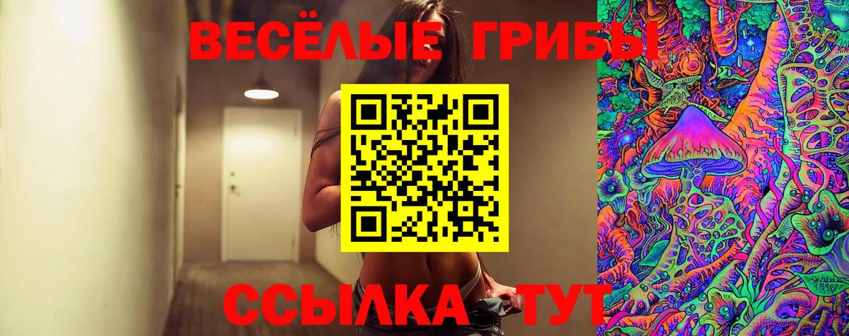 Торжок  Галлюциногенные грибы MAGIC MUSHROOMS  Вход с VPN 