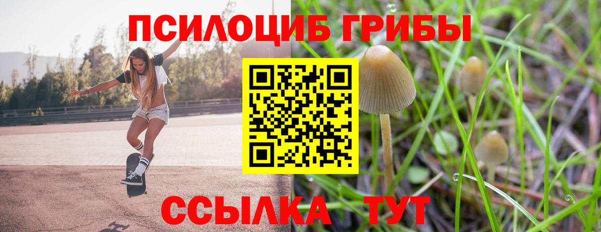 Псилоцибиновые грибы Magic Shrooms Торжок